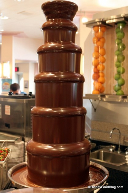 chocolate-fountain-Hollywood-and-Vine-41